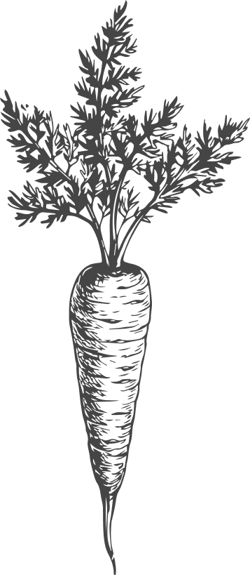 An illustration of a carrot